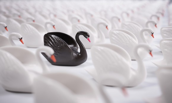 A black swan among many white swans.