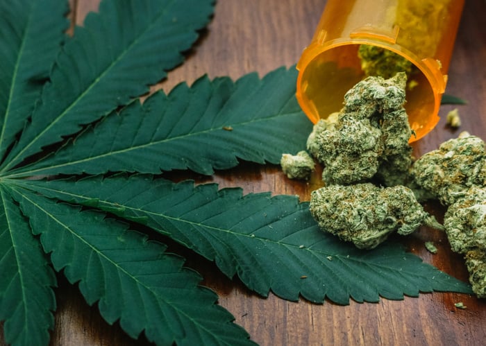 A cannabis leaf next to a bottle of dried cannabis buds. 