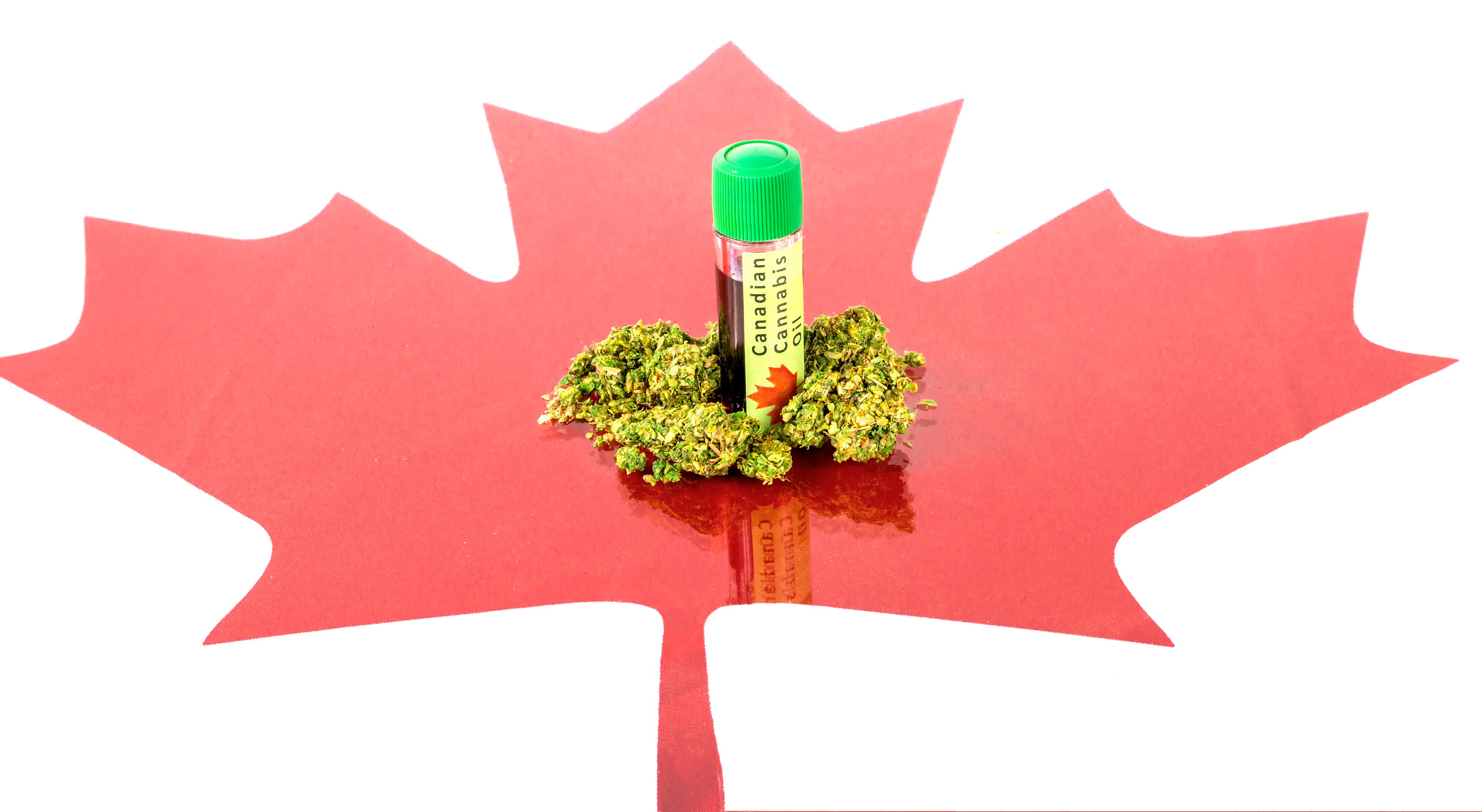 marijuana buds and cannabis oil on top of Canadian maple leaf image