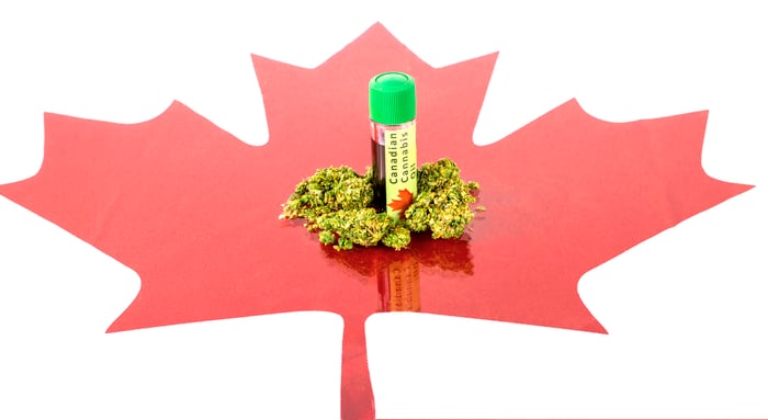 Marijuana buds and bottle of CBD oil on top of cutout of red Canadian maple leaf