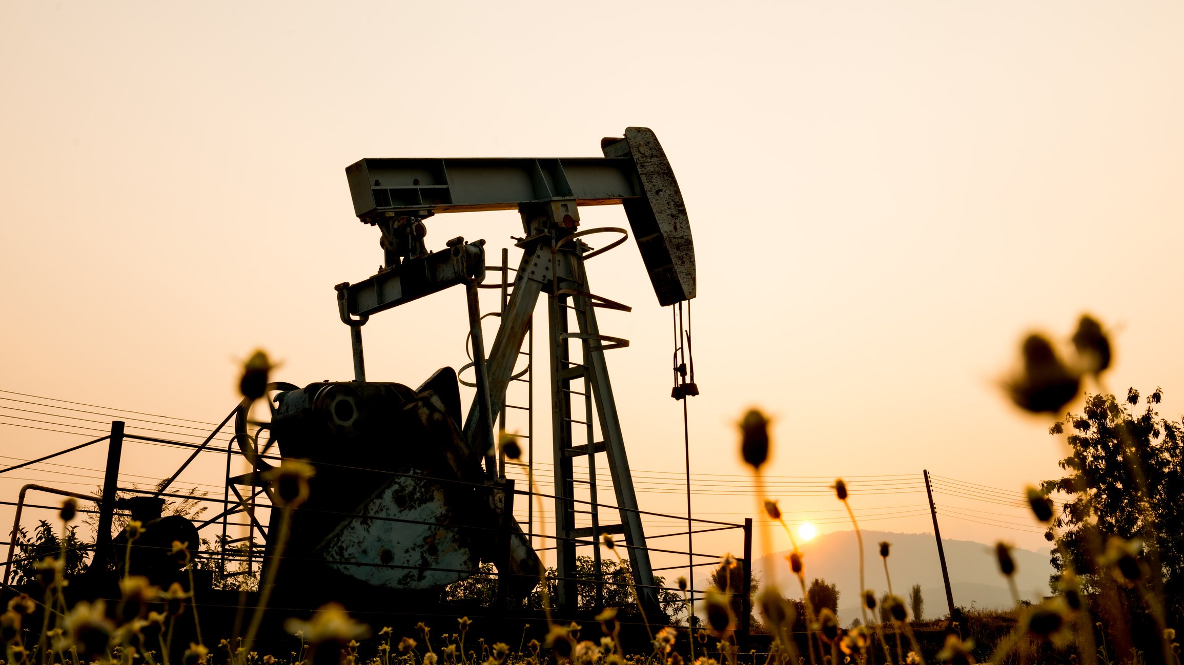 A pump jack in a medow with the sun setting in the distance.