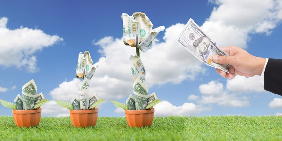 Three "dollar-trees" with each one getting progressively taller -- concept for growing money or dividends.