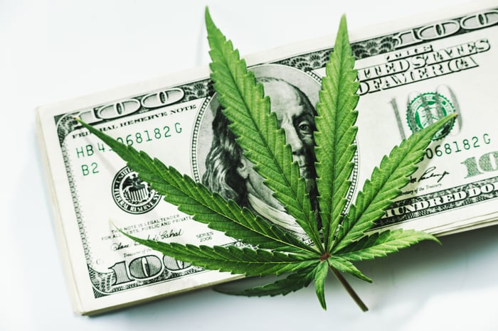 A marijuana leaf on top of a stack of $100 bills.