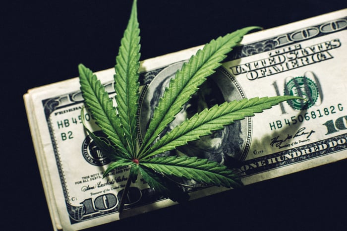 A cannabis leaf lying atop a crisp pile of hundred dollar bills. 