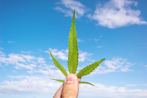 Marijuana leaf held at he base by a person's fingers with a blue sky and white clouds in background.