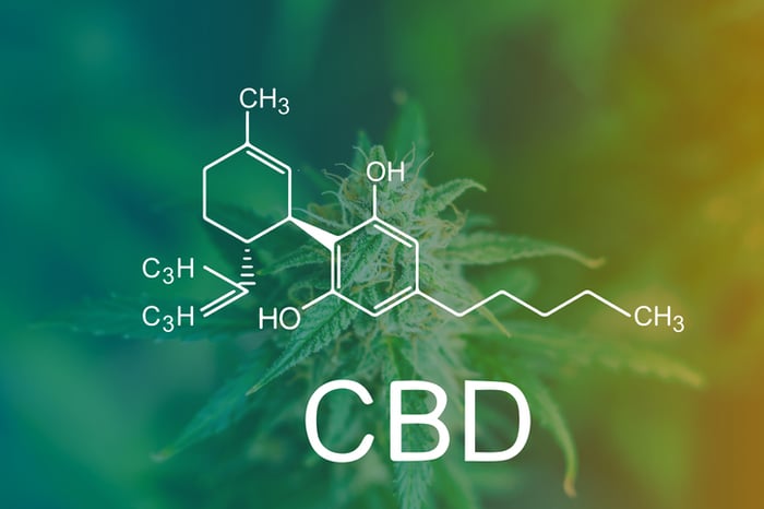 "CBD" and its molecular structure in white overlaid on a hazy cannabis plant background.