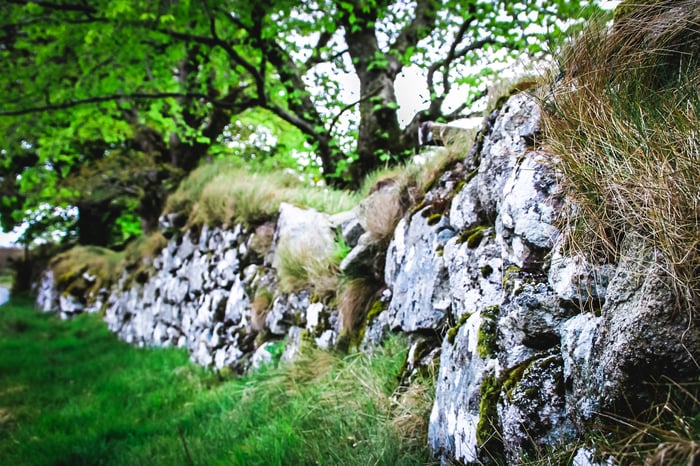 A crumbling garden wall with lush grass and a spreading tree