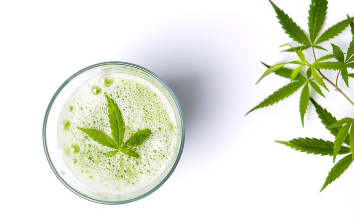 A cannabis leaf lying atop the head of a carbonated beverage, with cannabis leaves lying to the right of the glass.