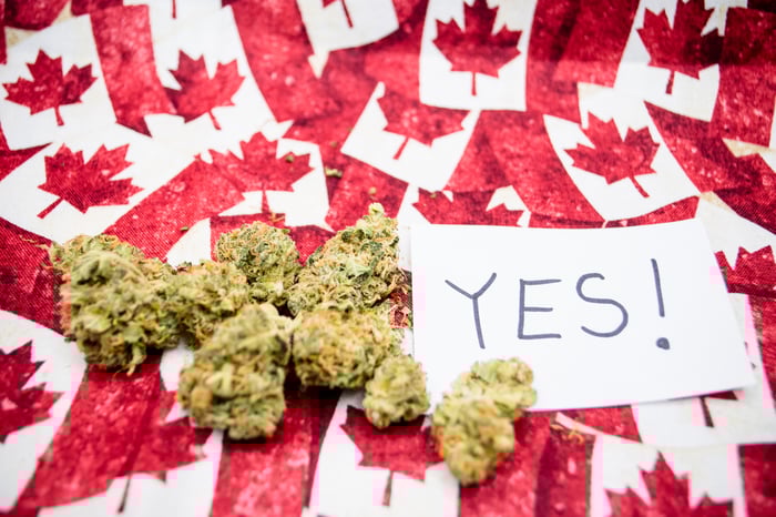 Dried cannabis buds lying atop dozens of miniature Canadian flags, and next to an index card that has the word yes written on it.