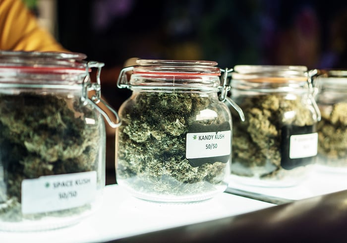 Clearly labeled jars filled with individual cannabis strains on a dispensary store counter. 