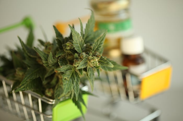 A piece of a flowering cannabis plant placed into a miniature shopping cart, next to a cart of alternative cannabis products. 