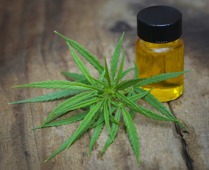 A vial of cannabidiol oil next to a hemp leaf on a table.