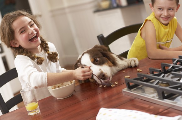 Two kids and a dog enjoy cereal at the breakfast table.