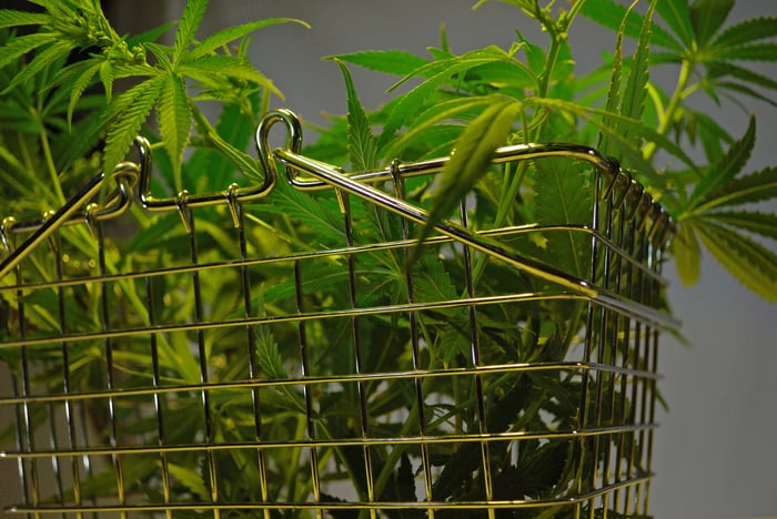 Cannabis leaves in a shopping cart basket.
