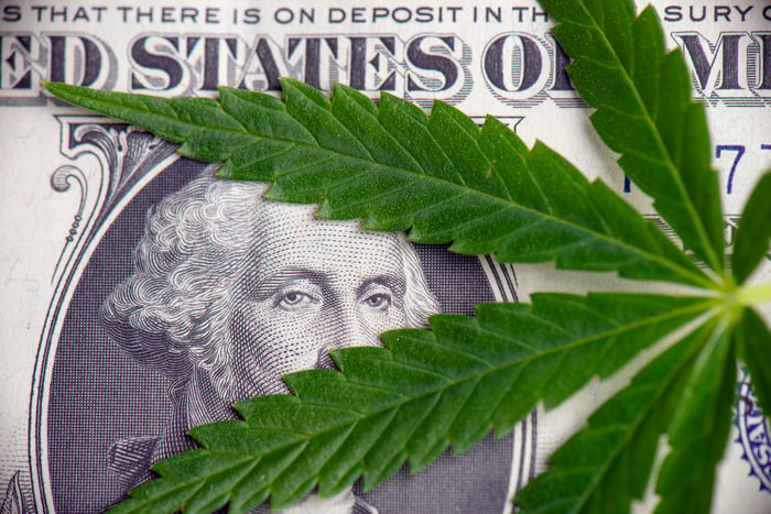 A cannabis leaf lying atop a one-dollar bill, with George Washington's eyes peering through the leaves.