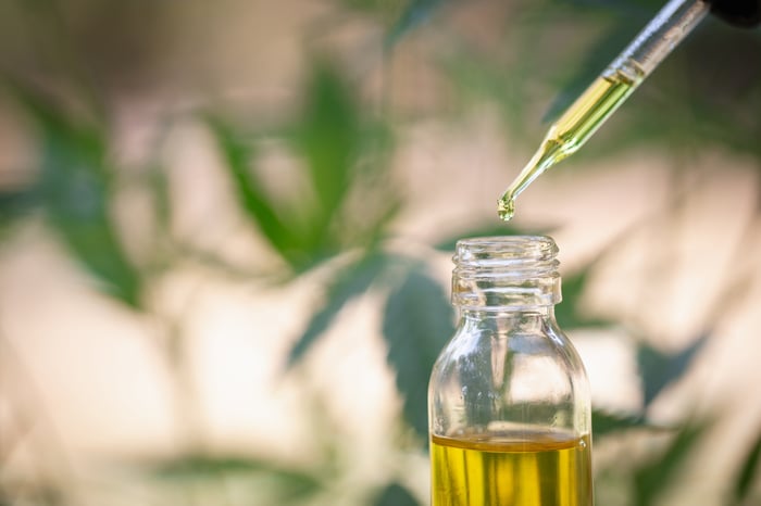 Cannabis oil derivative in front of cannabis plants