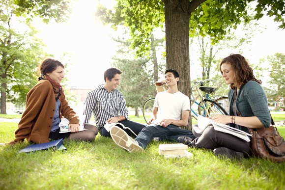 College students study together underneath a tree on campus.