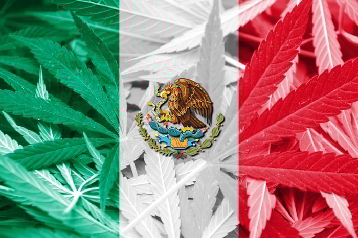The Mexican flag colors and seal superimposed atop a bed of cannabis leaves.