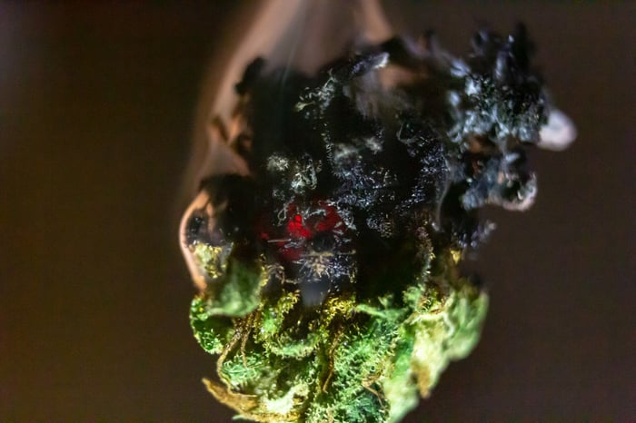 A smoldering cannabis bud that's beginning to turn black. 