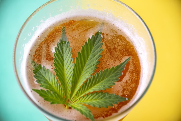 A cannabis leaf on top of a beer-like drink inside a glass