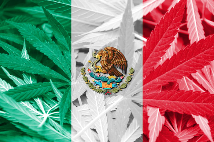 The Mexican flag superimposed onto a pile of cannabis leaves.