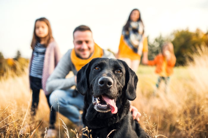 Black lab in focus in field with family blurred out in the background