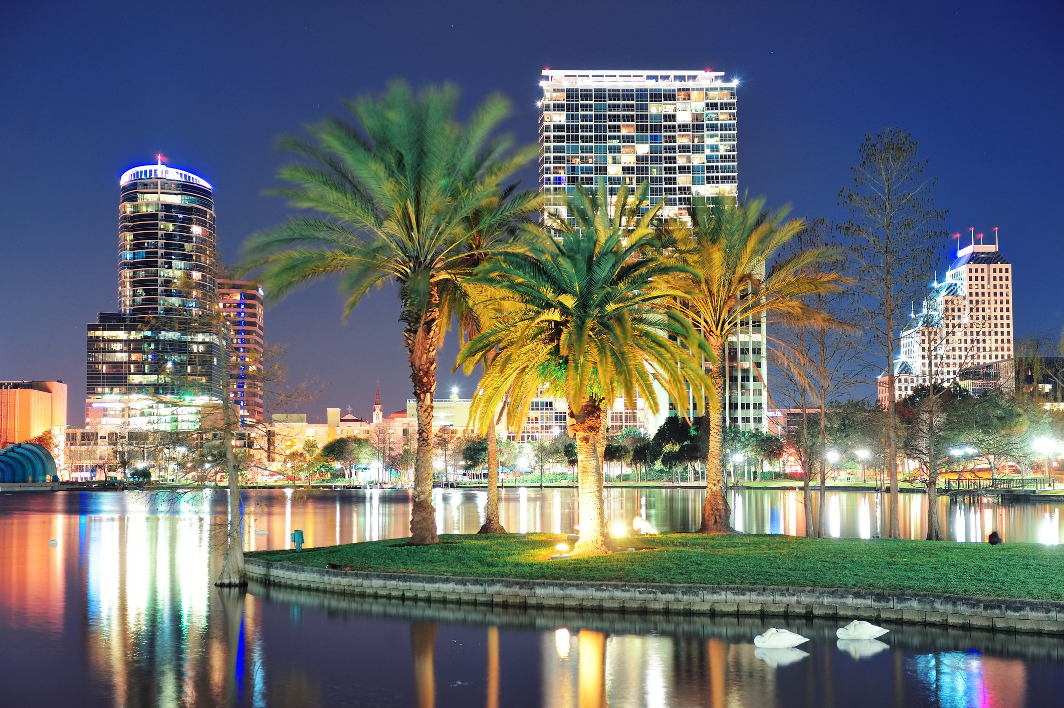 skyline of downtown Orlando at night with palm trees in background