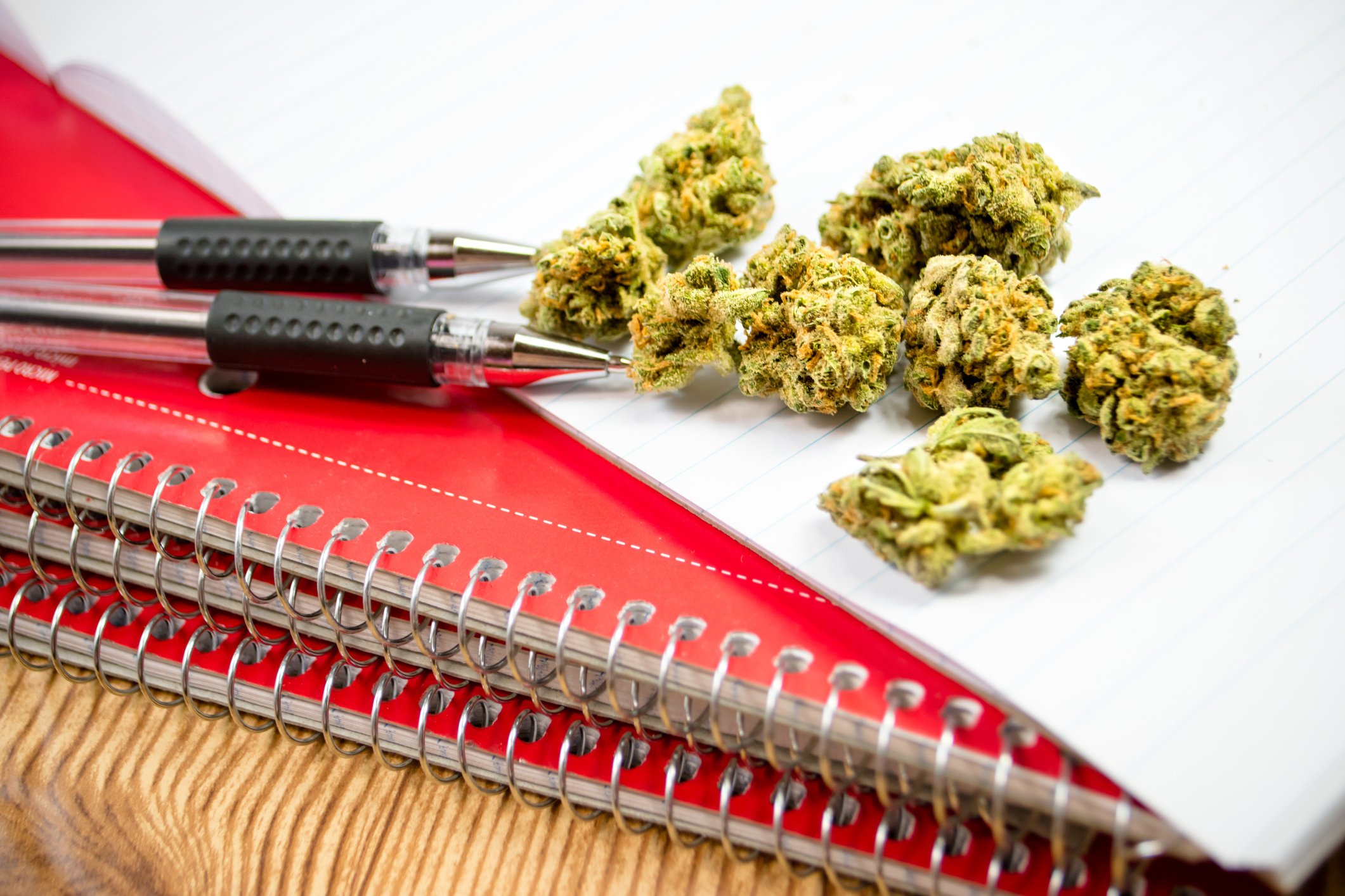 Marijuana buds atop a set of notebooks and next to two pens