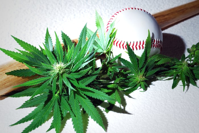 A baseball and bat lying next to a handful of cannabis leaves and flowers.