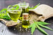 cannabis hemp oil