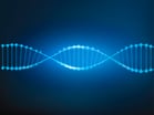DNA