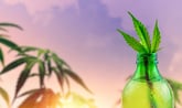 Cannabis beverage