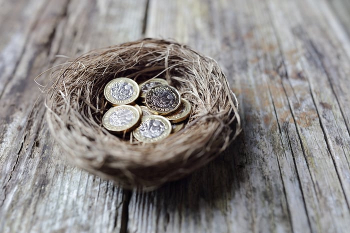 Coins in a "nest egg."