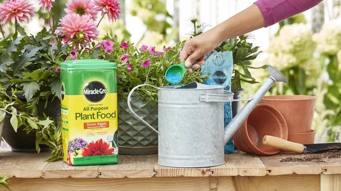 Scotts Miracle-Gro Plant Food being added to a watering can.