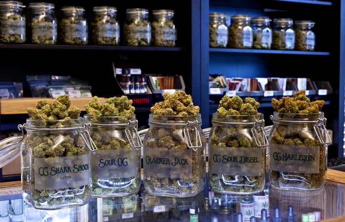 Various clear jars packed with unique cannabis strains on a dispensary countertop.