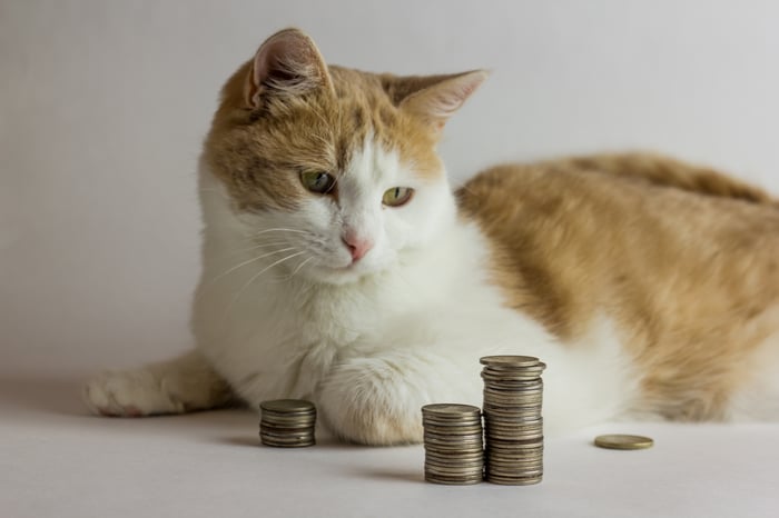 A cat staring at a couple of stacks of coins while lying next to them.