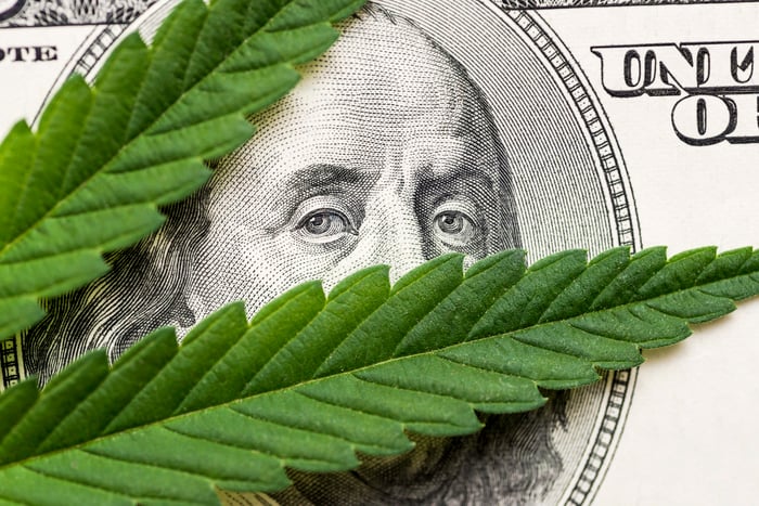 Close up of 100 dollar bill with marijuana leaf atop it.