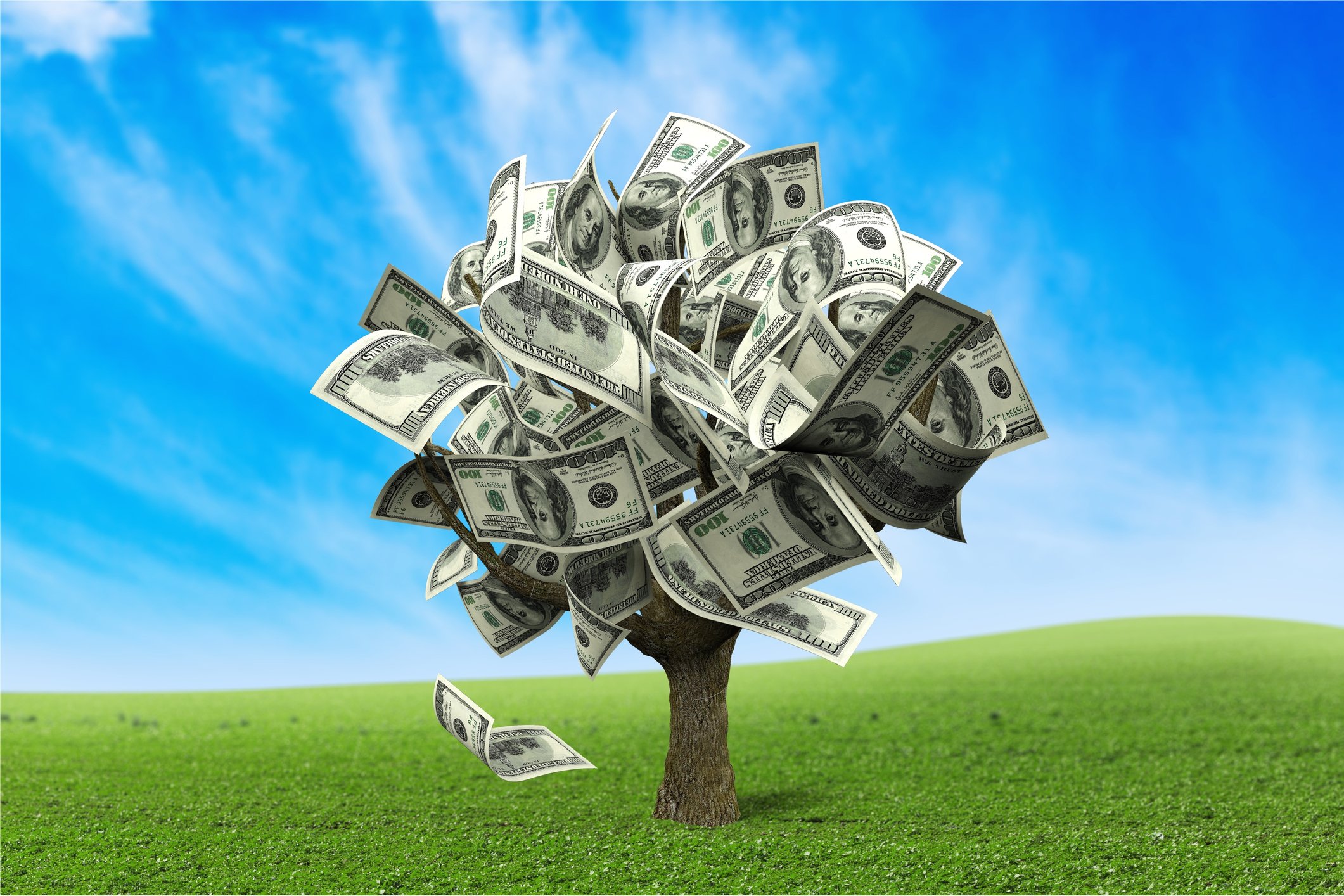 Getty - money tree grows Growth dividends forever long time buy and hold