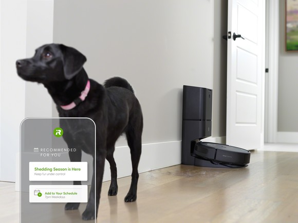 Roomba robotic vacuum cleaner with black dog in the room