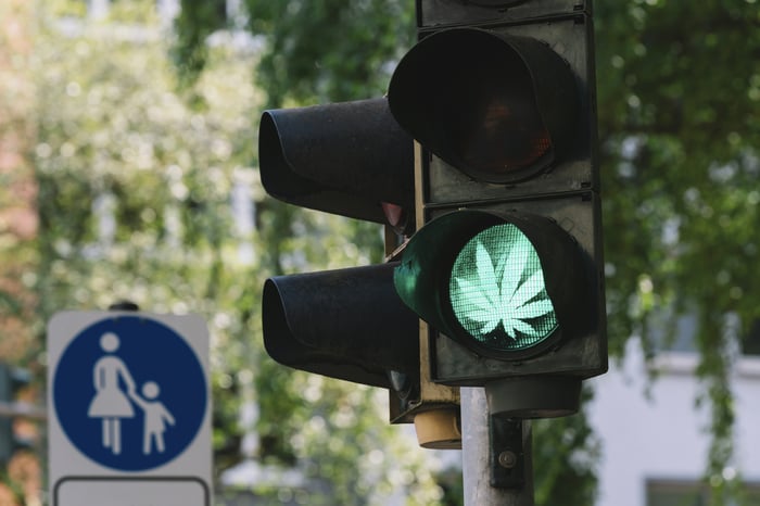 Green traffic light in the shape of a marijuana leaf.