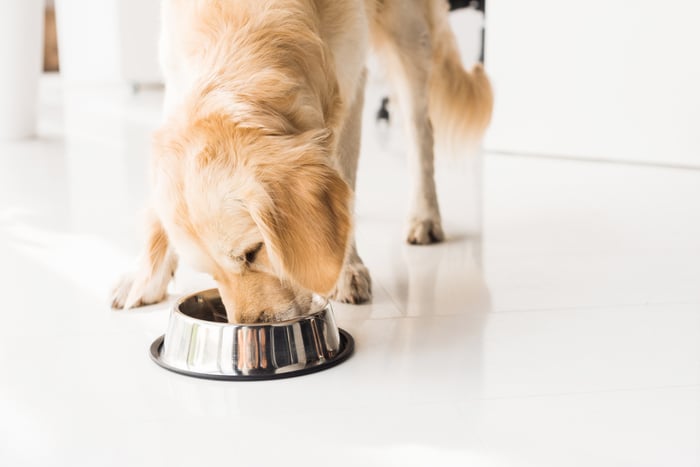 A dog eats food out of a dog bowl.