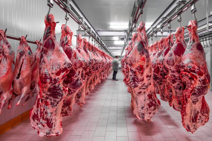 Calve carcasses hanging in a freezer