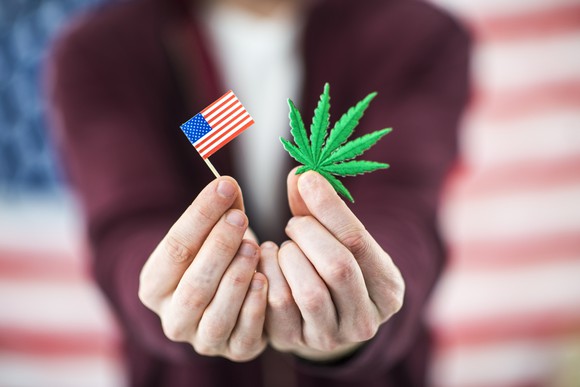 A man holding a marijuana leaf and a small American flag.