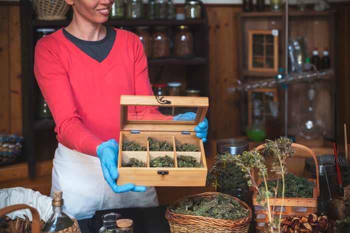 Adult woman wearing a white apron holds open a box of various marijuana strains in a shop.