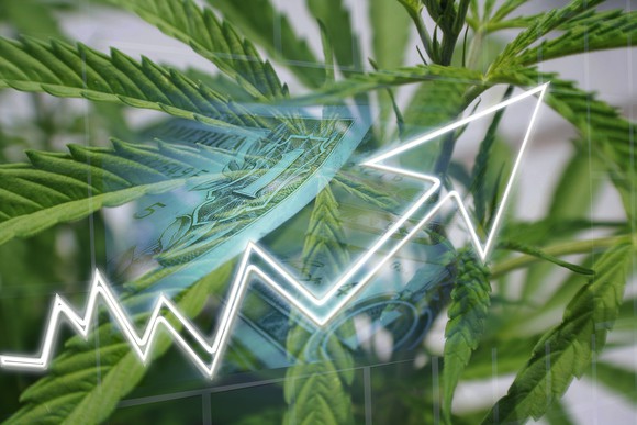 A cannabis plant with an overlaid image of a white line with an arrow trending up and a $1 bill