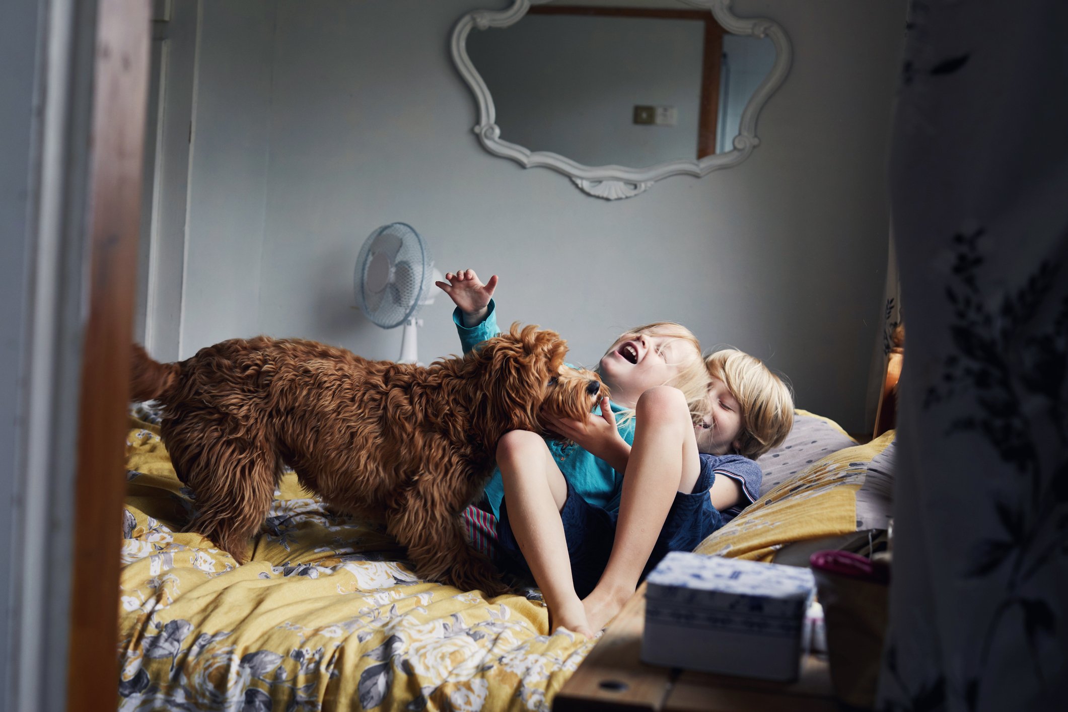 two young children play with a pet dog while rolling around on the bed