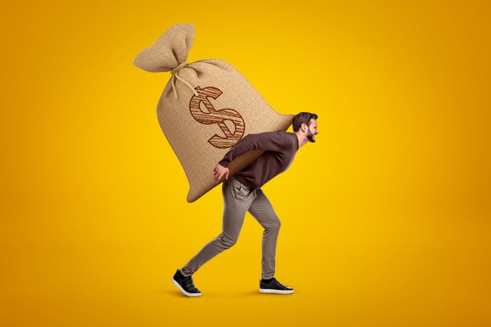 A person carrying a giant bag with a dollar sign on their back.