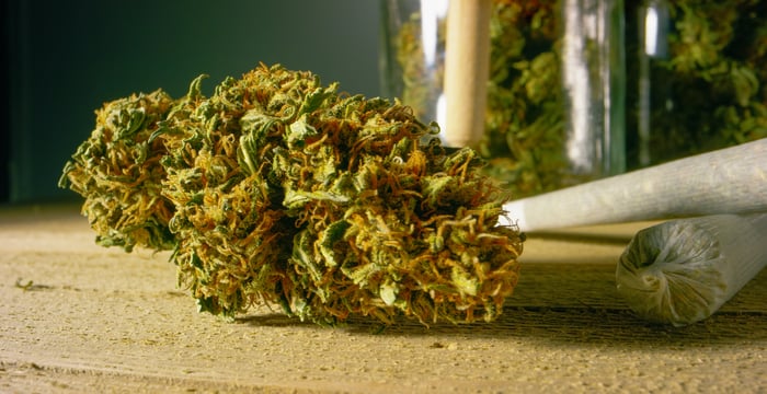 Dried marijuana flower lying on tabletop.