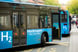 Hydrogen fuel cell buses.