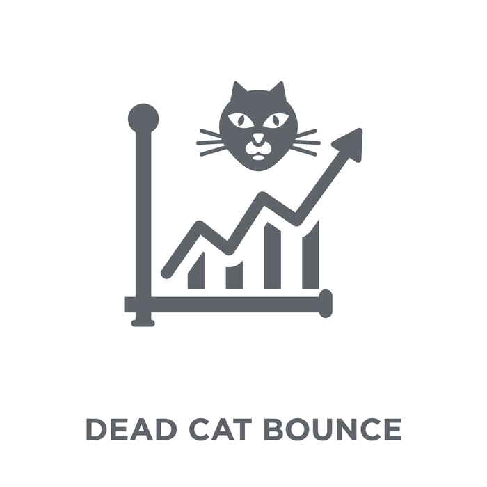 Rising stock chart with a cat head pictured reads DEAD CAT BOUNCE.